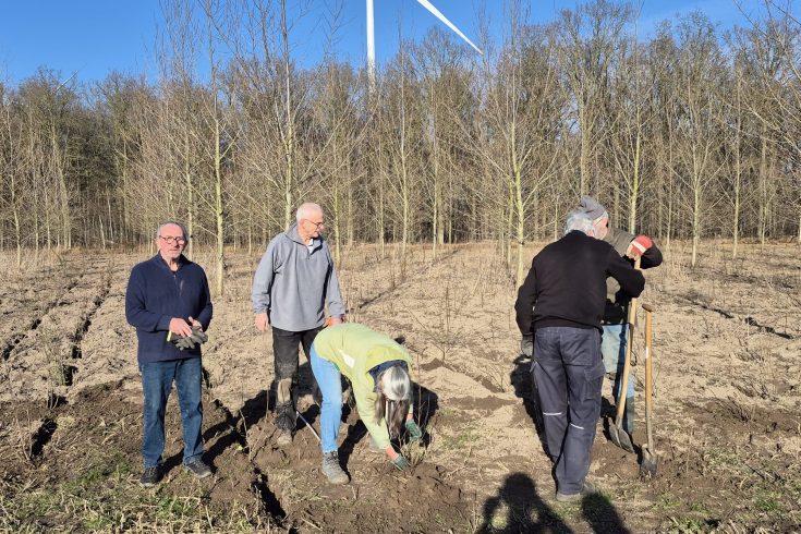 Vrijwilligers planten bomen en struiken bij Windpark De Kookepan